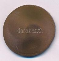 Szlávics László, ifj. (1959- ) DN "Aradi vértanúk - Lázár Vilmos" egyoldalas bronz emlékér...