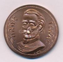 Szlávics László, ifj. (1959- ) DN "Aradi vértanúk - Török Ignác" egyoldalas bronz emlékérem (~40-41mm) T:UNC,AU