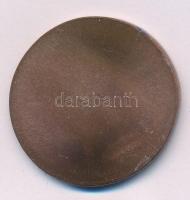 Szlávics László, ifj. (1959- ) DN "Aradi vértanúk - Török Ignác" egyoldalas bronz emlékére...