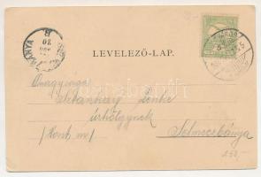 1902 Szászváros, Broos, Orastie; Vásár utca, F. Eisenmenger üzlete. Graef H. kiadása / street view, ...