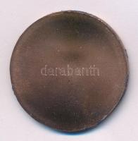 Szlávics László, ifj. (1959- ) DN "Aradi vértanúk - Vécsey Károly" egyoldalas bronz emléké...