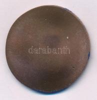 Szlávics László, ifj. (1959- ) DN "Aradi vértanúk - Schweidel József" egyoldalas bronz eml...