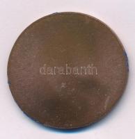 Szlávics László, ifj. (1959- ) DN "Aradi vértanúk - Nagy Sándor" egyoldalas bronz emlékére...