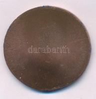 Szlávics László, ifj. (1959- ) DN "Aradi vértanúk - Aulich Lajos" egyoldalas bronz emlékér...