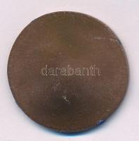 Szlávics László, ifj. (1959- ) DN "Aradi vértanúk - Lahner György" egyoldalas bronz emléké...