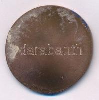 Szlávics László, ifj. (1959- ) DN "Aradi vértanúk - Leiningen Károly" egyoldalas bronz eml...