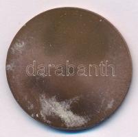 Szlávics László, ifj. (1959- ) DN "Aradi vértanúk - Dessewffy Arisztid" egyoldalas bronz e...