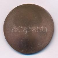 Szlávics László, ifj. (1959- ) DN "Aradi vértanúk - Kiss Ernő" egyoldalas bronz emlékérem ...