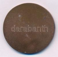 Szlávics László, ifj. (1959- ) DN "Aradi vértanúk - Knézich Károly" egyoldalas bronz emlék...