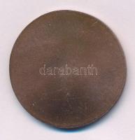 Szlávics László, ifj. (1959- ) DN "Aradi vértanúk - Pöltenberg Ernő" egyoldalas bronz emlé...