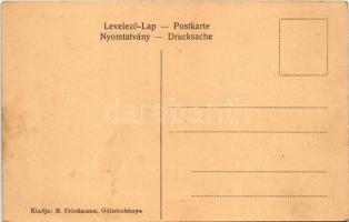 Gölnicbánya, Gelnica; Thurzó vár romjai, fedett fahíd. B. Friedmann kiadása / castle ruins, wooden b...