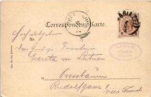 1898 Mariazell (Steiermark), Bürgeralpl, Erlaf-See. C. Jurischek / lookout tower, church, view. Art ...