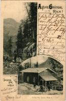 1899 Rax, Raxalpe; Gamsecker-Hütte und Quelle. Ed. Arenz / tourist house. Art Nouveau, floral (EB)