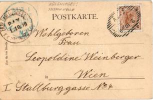 1899 Rax, Raxalpe; Gamsecker-Hütte und Quelle. Ed. Arenz / tourist house. Art Nouveau, floral (EB)