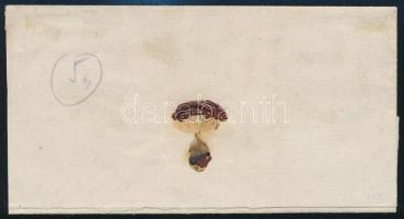 ~1865 5kr levélen / on cover "SZENITZ" - Nyitra