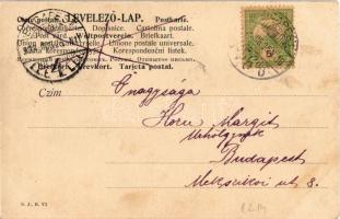 1903 Varsányi Irén, Tanay Frigyes (EM)