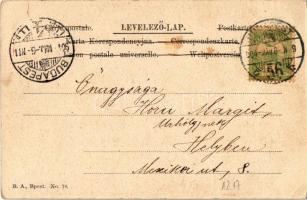 1904 Szacsvayné Boér Emma (EK)