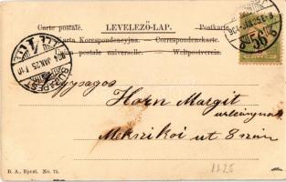 1904 Bárdi Gabi (kis szakadás / small tear)