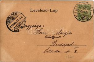 1903 Kápolnay Irén (EK)