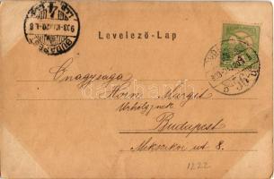 1903 Gazsi Mariska, Strelisky felvétele (EK)