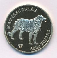 2025. 3000Ft Cu-Ni "Kuvasz" kapszulában, színes MNB-s tájékoztatóval T:P