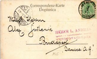 1901 Türkinnen. Herzegovinische Volkstypen / Bosnian folklore, Turkish women (apró szakadás / tiny t...