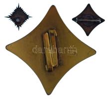 1942 k. "A Magyar Vöröskereszt Díszjelvénye" aranyozott, zománcozott bronz kitüntetés, hát...