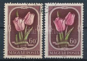 1951 Virág II. 60f halvány színű tulipánnal + támpéldány