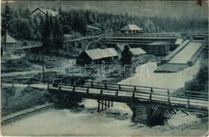 1918 Dorna-völgy, Dornavölgy; Dornavölgyi gőzfűrész, vízfogó és kápolna. Adler M. Mór kiadása / stea...