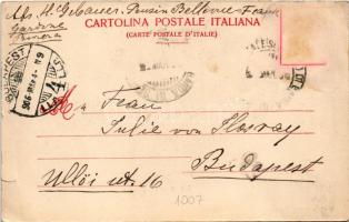 1906 Gardone Riviera, Imbarcadero / pier, "BALDO" steamship (tear)