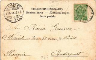 1904 Sarajevo, Turkinje / Türkinnen / Bosnian folklore, Turkish women. Daniel A. Kajon (fl)