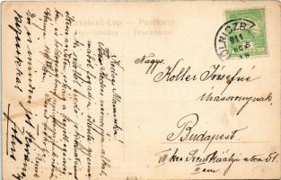 1911 Gölnicbánya, Göllnitz, Gelnica; Thurzóvár romjai. Feitzinger Ede / Ruine / castle ruins (EK)