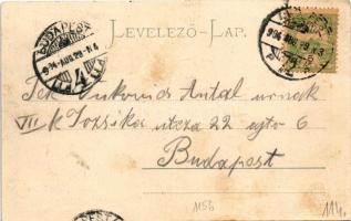 1904 Tátralomnic, Tatranská Lomnica (Magas-Tátra, Vysoké Tatry); Tátra-Lomniczi gyógyház / Kurhaus /...