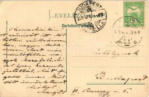 1909 Fiume, Rijeka; Piazza delle Erbe / market, shops. Stengel &amp; Co. (EB)