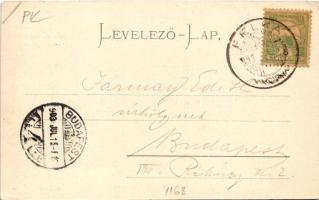 1903 Felka, Poprád-Felka, Velká pod Tatrou, Poprad-Velká (Tátra, Magas Tátra, Vysoké Tatry); Nyári u...