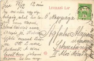 1909 Bicske, vasútállomás. Flakker Sándor kiadása (EK)