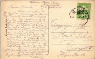 Baja, Duna részlet, gőzhajó, kikötő, híd. Wurmfeld Gyula kiadása