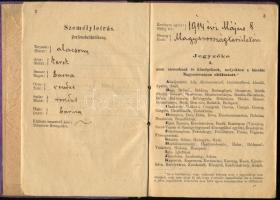 1913 Izraelita rőfös számára kiállított házalókönyv