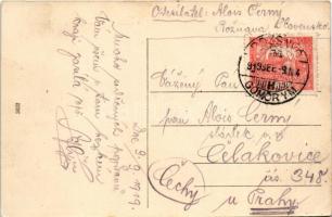 1919 Rozsnyó, Roznava; vasas gyógyfürdő, park / spa, bathhouse, park (EK)