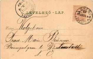 1899 Nagycenk, Nagy-Czenk, Zinkendorf; Széchenyi szobor, indóház, vasútállomás, Soproni utca, Cukorg...