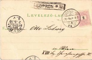 1899 Sopron, Üdvözlet a soproni vásárról. Piac, Karl Pollak standja / Gruss vom Oedenburger Jahrmark...