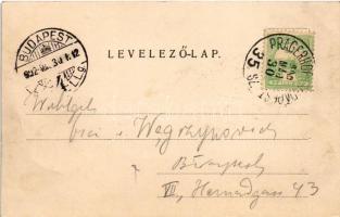 1902 Siófok, részletek. Ellinger Ede cs. és kir. udvari fényképész kiadása (fl)