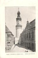 Thirring Gusztáv: 
Sopron és a magyar Alpok. Úti kalauz. 11 térképpel, 5 városi tervrajzzal, 15 kép...