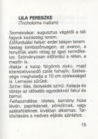 Tolnai Kálmán: Gombagyűjtők szakácskönyve I-II. [Teljes mű két kötetben.] (Számozott minikönyv.)
[B...