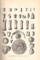 Zsilinszky Mihály: 
Csongrádvármegye története. I-III. rész. [Teljes mű három kötetben.]
Budapest,...