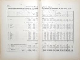 Brote, Eugen: 
Die rumänische Frage in Siebenbürgen und Ungarn. Eine politische Denkschrift. Mit 51...