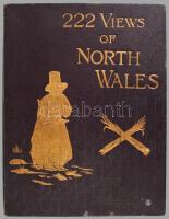 222 Photographic Views of North Wales, Mountain, Vale and Town Llandudno, 1890 : G. R. Thompson: Aranyozott egészvászon kötésben, kis kopással