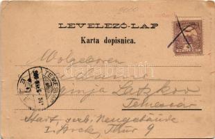 1900 Dálya, Dalja, Dalj; Dvorski vrt i srpska crkva. Ottokar Rechnitz / kastélypark, szerb templom /...