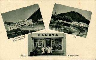 Huszt with the late Volosin palace and Hangya (EB)