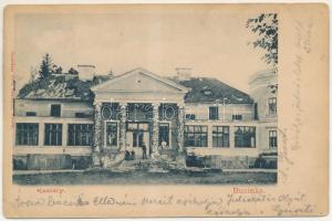 Buzinka, Sacza, Saca (Kassa, Kosice); Dr. Semsey Andor kastélya. Nyulászi Béla kiadása / castle (EB)